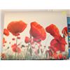 Image 1 : POPPY STRETCH CANVAS PICTURE 35"X45"