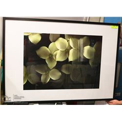 BLACK AND WHITE FRAMED PICTURE 29"X40"