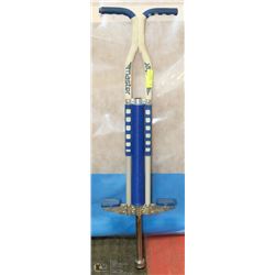 MASTER POGO STICK