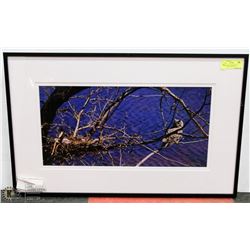 19X30 "ABOVE THE WATERS" PHOTOGRAPHY PRINT BY