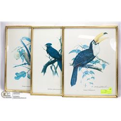 GROUP OF 3 BIRD PRINTS SIGNED BY ETIENNE DEMONTE