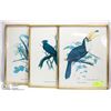 Image 1 : GROUP OF 3 BIRD PRINTS SIGNED BY ETIENNE DEMONTE