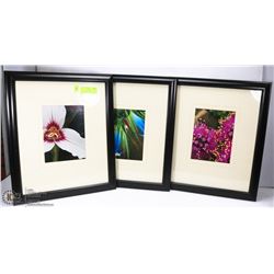 SET OF 3 PROFESSIONAL PHOTOGRAPHY FLOWER PRINTS