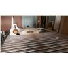 Image 2 : RIGID TILE SAW