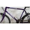 Image 4 : PURPLE RALEIGH BIKE