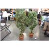 Image 1 : PAIR OF ARTIFICIAL TREES
