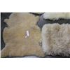 Image 2 : 3 SHEEP SKIN RUGS AND PILLOW