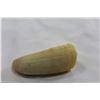 Image 2 : SPERM WHALE TOOTH
