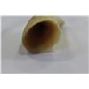 Image 3 : SPERM WHALE TOOTH