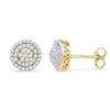Image 1 : 0.50 CTW Diamond Cluster Screwback Earrings 10KT Yellow Gold - REF-37Y5X