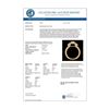 Image 2 : 2.5 CTW Princess VS/SI Diamond Micro Pave 3 Stone Ring 18K Yellow Gold - REF-527X3T - 37198