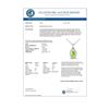 Image 3 : 0.41 CTW Peridot & Micro Pave VS/SI Diamond Necklace Halo 18K White Gold - REF-26F2N - 21323