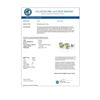 Image 3 : 2.0 CTW Peridot Solitaire Stud Earrings 18K White Gold - REF-20M4H - 10281