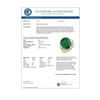 Image 3 : 10.07 CTW Emerald & Diamond Ring 14K Yellow Gold - REF-117W8F - 13216