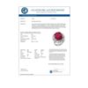 Image 2 : 10.65 CTW Ruby & Diamond Ring 18K White Gold - REF-272H8A - 13196