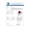 Image 3 : 3.20 CTW Ruby & Diamond Ring 14K White Gold - REF-101K8W - 14257