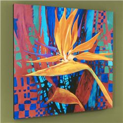 Bird of Paradise by Bull, Simon