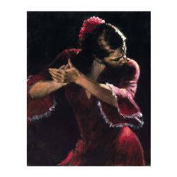 Flamenco V by Perez, Fabian