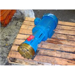 Hydra-Cell Pump with 5HP Motor, Pump P/N: D11EKBGHFECA