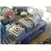 Image 3 : Sterling Electric 3/4 HP Motor with 15:1 Gear Reducer