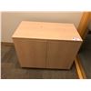 Image 1 : MAPLE 2 DOOR STORAGE CABINET