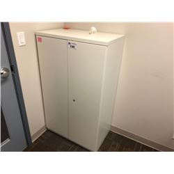 2 DOOR STORAGE CABINET