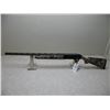 Image 3 : Tri-Star Raptor, 12ga SN#-KRA048201