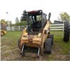 Image 3 : Cat 248  SN#-6LZ00540