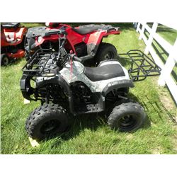 2017 Tao Tao 120cc youth ATV SN#-L9NACFTK8H1017020