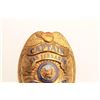 Image 2 : 18DC-119 BADGE