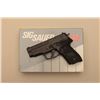 Image 4 : 18JR-41 SIG SAUER P-228  #B153148