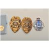 Image 3 : 18DC-125L BADGES