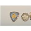 Image 2 : 18DC-125F BADGES