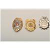 Image 2 : 18DC-125A BADGES