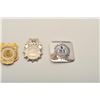 Image 3 : 18DC-125A BADGES