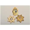 Image 1 : 18DC-169B BADGES