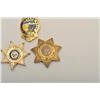 Image 2 : 18DC-169B BADGES