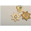 Image 3 : 18DC-169B BADGES