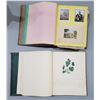 Image 3 : 2 ANTIQUE SCRAP BOOKS