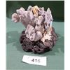 Image 1 : MOUNTED CORAL W/SEAHORSE