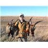 Image 1 : 2-DAY NW KANSAS UPLAND BIRD HUNT – 2 HUNTERS