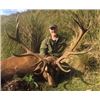 Image 1 : 4-DAY NEW ZEALAND HUNT – 2 HUNTERS