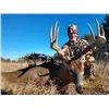Image 1 : 5-DAY KANSAS ARCHERY DEER HUNT