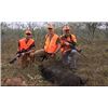 Image 1 : 3-DAY / 2-NIGHT TEXAS HOG HUNT – 2 HUNTERS