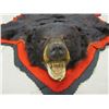 Image 2 : CANADIAN BLACK BEAR RUG