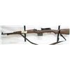 Image 1 : Lijungman AG 42B Rifle