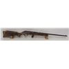 Image 1 : Sears Roebuck Mod 66 Semi-Auto 22LR