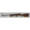 Image 2 : Sears Roebuck Mod 66 Semi-Auto 22LR