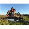 Image 6 : AXIS DEER BUCK HUNT - RAZZOR RANCH - ZOLFO SPRINGS, FLORIDA