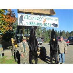 BLACK BEAR HUNT      SUSSEX/NEW BRUNSWICK, CANADA